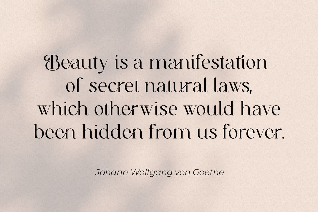 Cotta-Elegant-Serif-Font-04